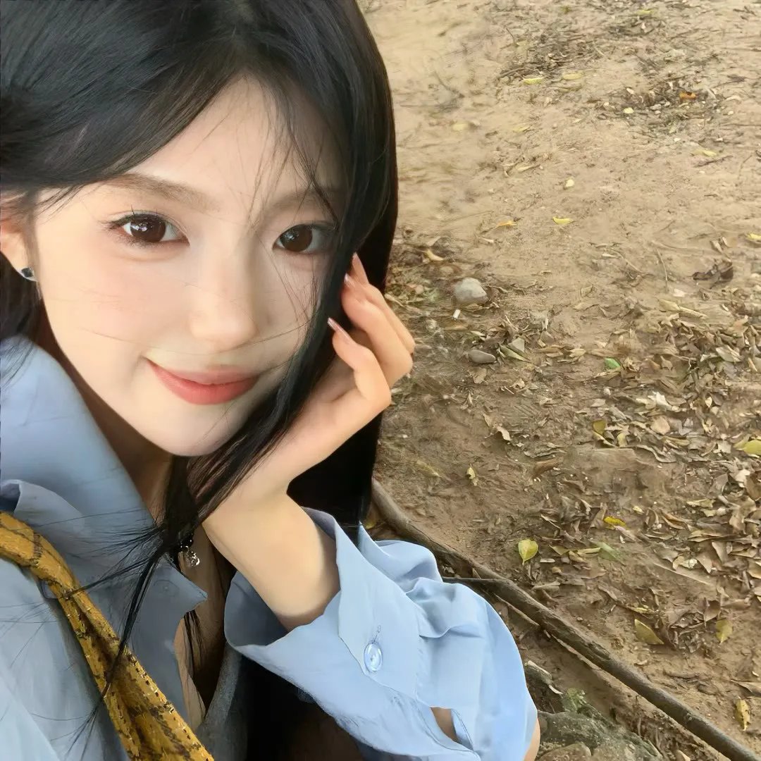 鸽之翼